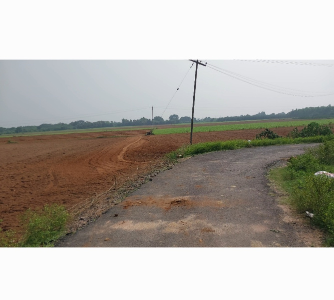  15 Acre Agricultural/Farm Land for Sale in Tirukkoyilur, Villupuram