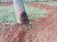  Agricultural Land for Sale in Tiptur, Tumkur