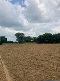 Agricultural Land for Sale in Ferozepur Jhirka, Nuh