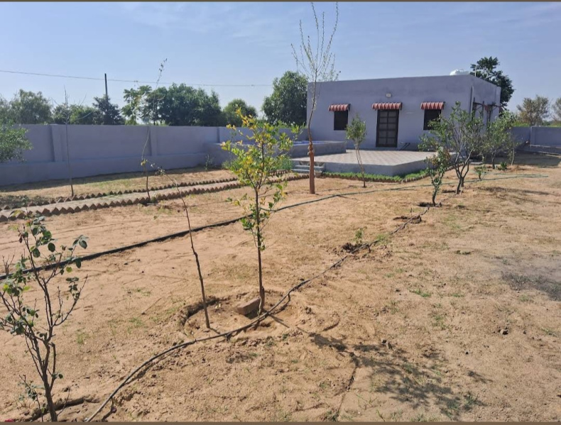 3 BHK 1328 Sq. Yards Farm House for Sale in Khetri, Jhunjhunu