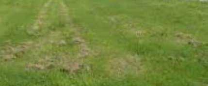  Residential Plot for Sale in Srivilliputhur, Virudhunagar