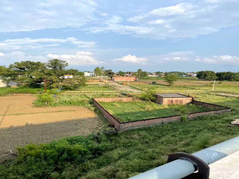  Residential Plot 1250 Sq.ft. for Sale in Juggaur, Lucknow