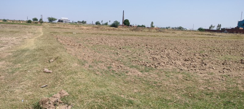  Agricultural Land 4 Acre for Sale in Peer Muchalla, Zirakpur