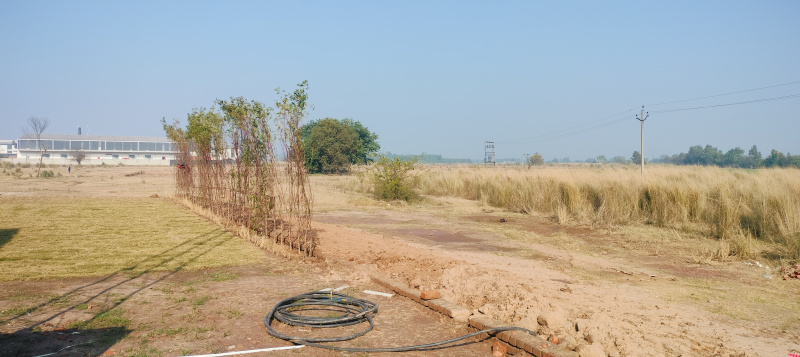  Industrial Land 500 Sq. Yards for Sale in Banur, Mohali