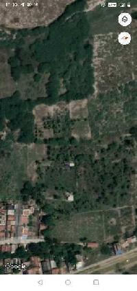  Agricultural Land for Sale in Pallapatti, Dindigul