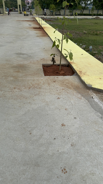  Residential Plot 1200 Sq.ft. for Sale in Manikandam, Tiruchirappalli
