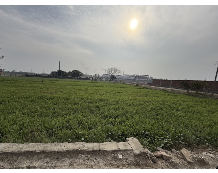  8000 Sq. Yards Agricultural/Farm Land for Sale in Ramgarh, Ludhiana
