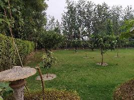  Agricultural Land for Sale in Sector 127 Noida