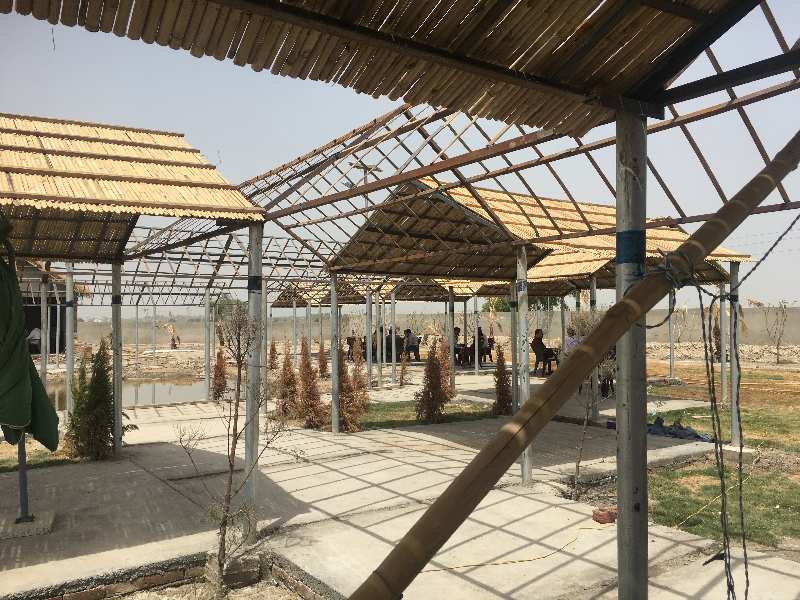  218 Sq. Yards Residential Plot for Sale in Tappal, Aligarh