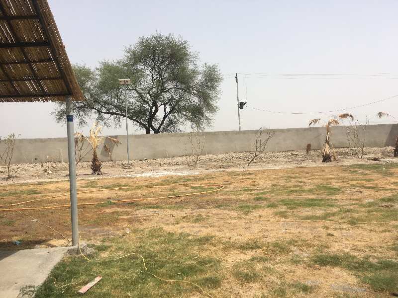  219 Sq. Yards Residential Plot for Sale in Tappal, Aligarh