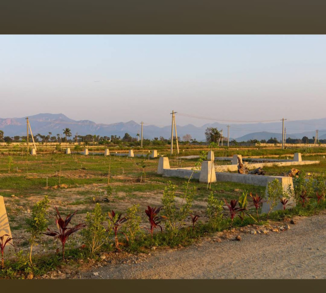  Residential Plot 1800 Sq.ft. for Sale in Shiv Jyoti Nagar, Tirupati