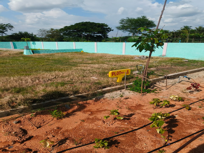  1800 Sq.ft. Residential Plot for Sale in Renigunta, Tirupati