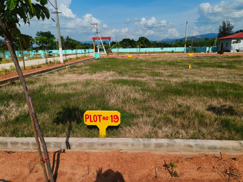  1800 Sq.ft. Residential Plot for Sale in Renigunta, Tirupati