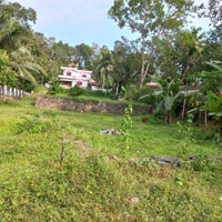  Residential Plot for Sale in Vazhithala, Idukki