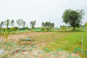  Agricultural Land for Sale in Perumbakkam, Kanchipuram