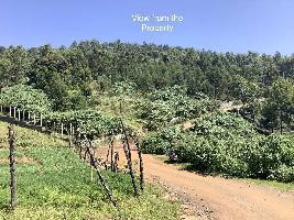  Residential Plot for Sale in Ketti, Ooty