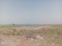  Agricultural Land for Sale in Mandkola, Palwal
