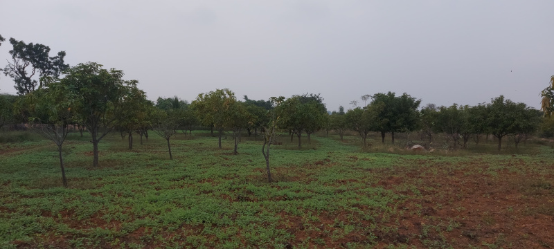  Residential Plot 10001 Sq.ft. for Sale in Bagalur, Bangalore