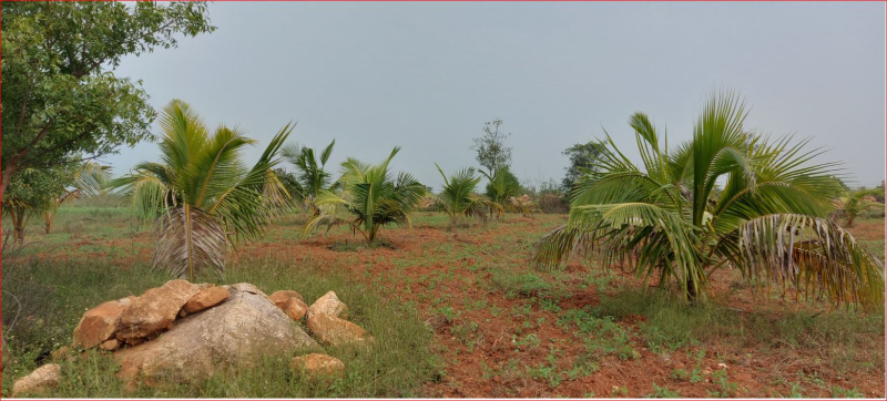  Residential Plot 10001 Sq.ft. for Sale in Bagalur, Bangalore