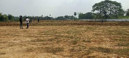  Agricultural Land for Sale in Devarapalli, Visakhapatnam