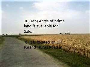 Agricultural Land 10 Acre for Sale in