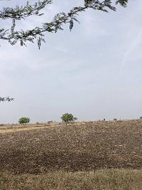  Agricultural Land for Sale in Chitapur, Gulbarga