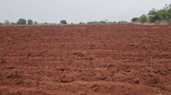  Agricultural Land for Sale in Chitgoppa, Bidar