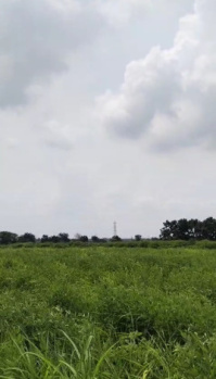  Agricultural Land for Sale in Tandur, Vikarabad