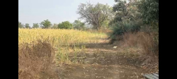  Agricultural Land for Sale in Sedam, Gulbarga