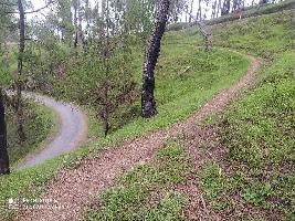  Agricultural Land for Sale in Katarmal, Almora