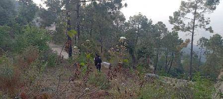  Residential Plot for Sale in Ranikhet, Almora