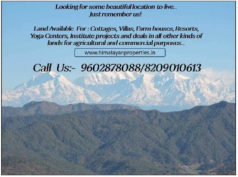  Agricultural Land 21000 Sq.ft. for Sale in Ranikhet, Almora