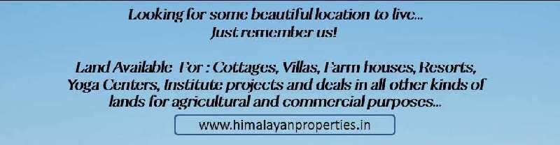  Residential Plot 2100 Sq.ft. for Sale in Pangot, Nainital
