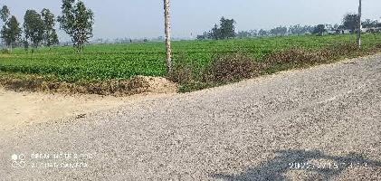  Agricultural Land for Sale in Sitarganj, Udham Singh Nagar