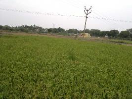  Agricultural Land for Rent in Veppanthattai, Perambalur