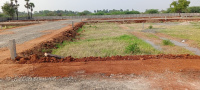  Residential Plot for Sale in Airport Road, Madurai