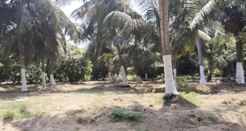  Agricultural Land for Sale in Panayur, Chennai