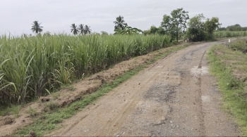  Agricultural Land for Sale in Kolakudi, Tiruvannamalai