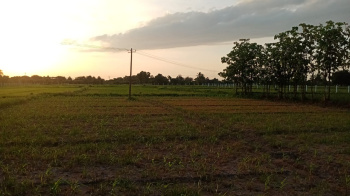  Agricultural Land for Sale in Tindivanam, Villupuram