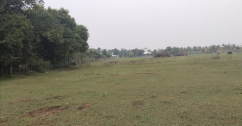  Agricultural Land for Sale in Thaiyur, Chennai
