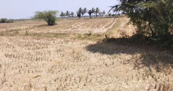  Agricultural Land for Sale in Koovathur, Kanchipuram