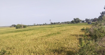  Agricultural Land for Sale in Manapakkam, Chennai