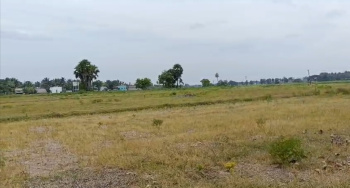  Agricultural Land for Sale in Acharapakkam, Chengalpattu