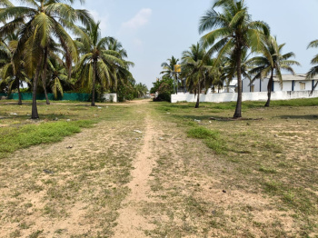  Residential Plot for Sale in Kuvathur, Kanchipuram