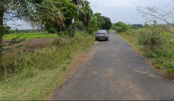  Agricultural Land for Rent in Acharapakkam, Chengalpattu