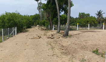  Residential Plot for Sale in Cheyyur, Chengalpattu