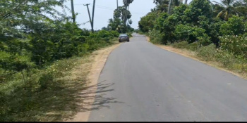  Agricultural Land for Sale in Cheyyur, Chengalpattu
