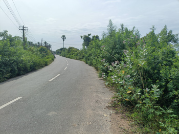  Agricultural Land for Sale in Pudupattinam, Chengalpattu