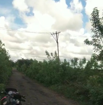  Agricultural Land for Sale in Cheyyur, Chengalpattu