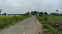 Agricultural Land for Sale in Pulipakkam, Chengalpattu